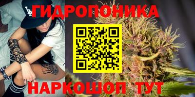трава Бийск
