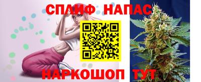 трава Бийск