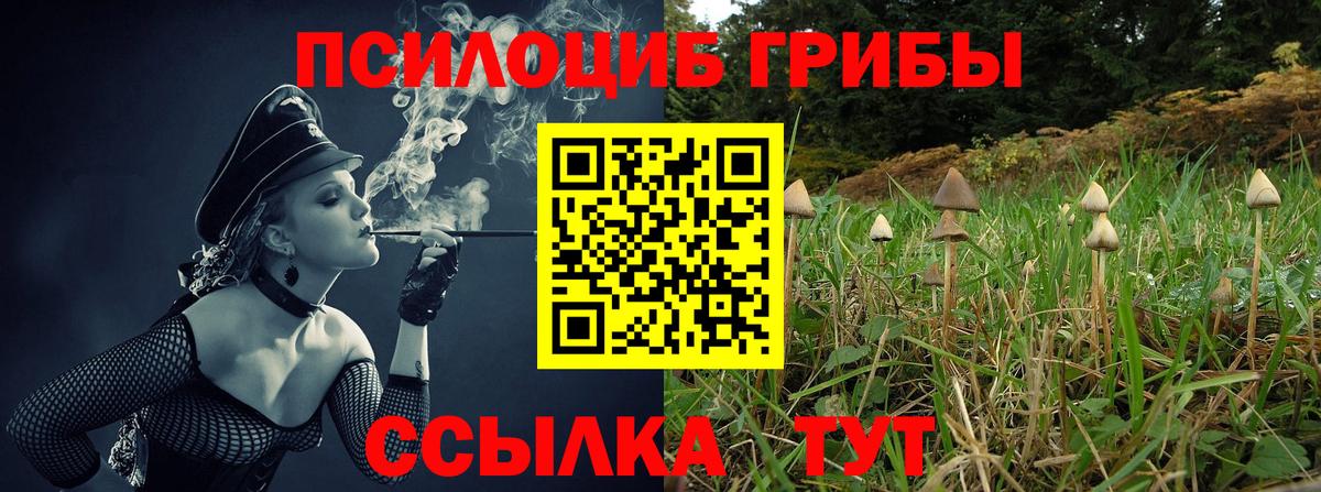 Псилоцибиновые грибы ЛСД Белово