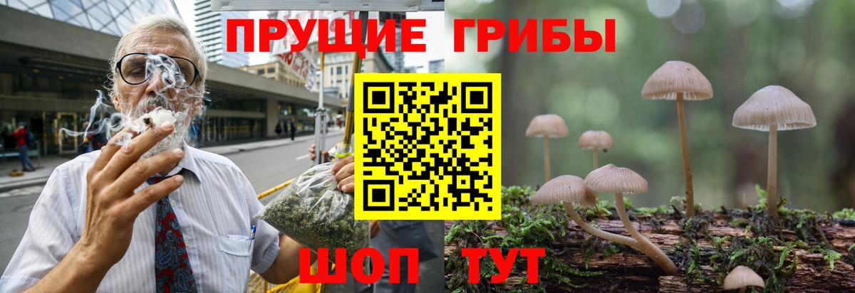 Белово  Псилоцибиновые грибы ЛСД  Вход с VPN 