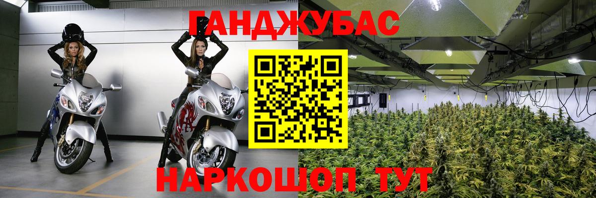 Бошки Шишки семена Белово